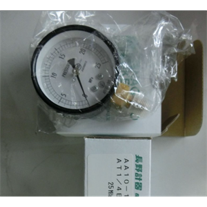 合肥栗山供应NAGANO长野计器压力表AA10-121-5000000XXX10(0~25MPA) 1810560-8873