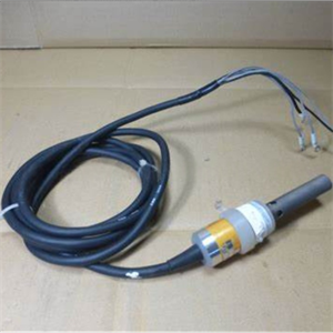 ERF-001-L-T-N-Y-10M电阻率探头HORIBA堀场合肥栗山胡181-0560-8873