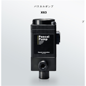 Pascal帕斯卡X6308S-B/X6308S-C/X6308S-A/X6308S-D气动泵胡181-0560-8873